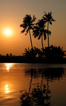 alleppey backwaters